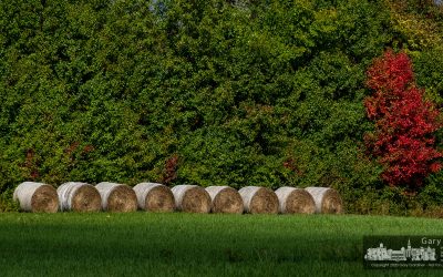 Fall On The Farm