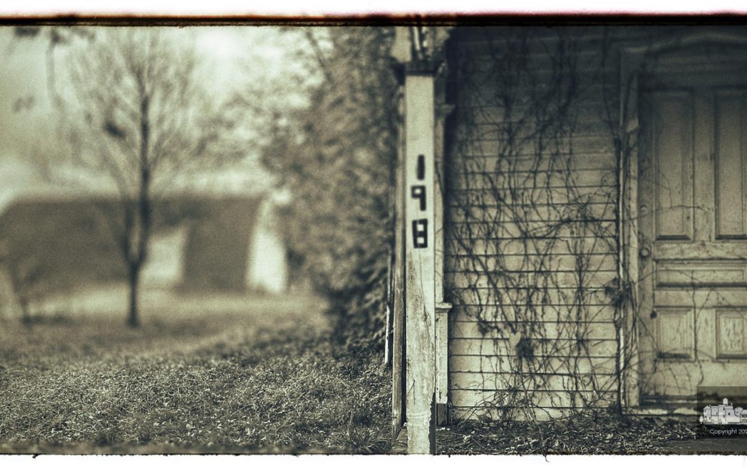 Braun Farm Monday