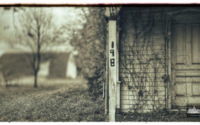Braun Farm Monday