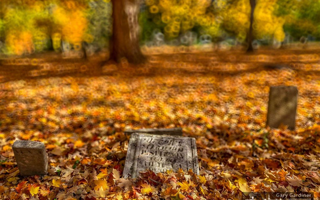 Cemetery Autumn
