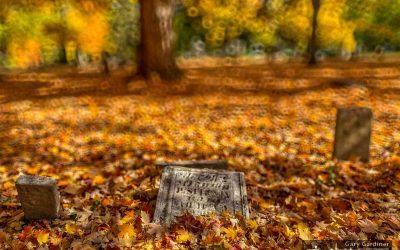 Cemetery Autumn