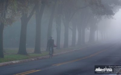 Ride In The Morning Fog