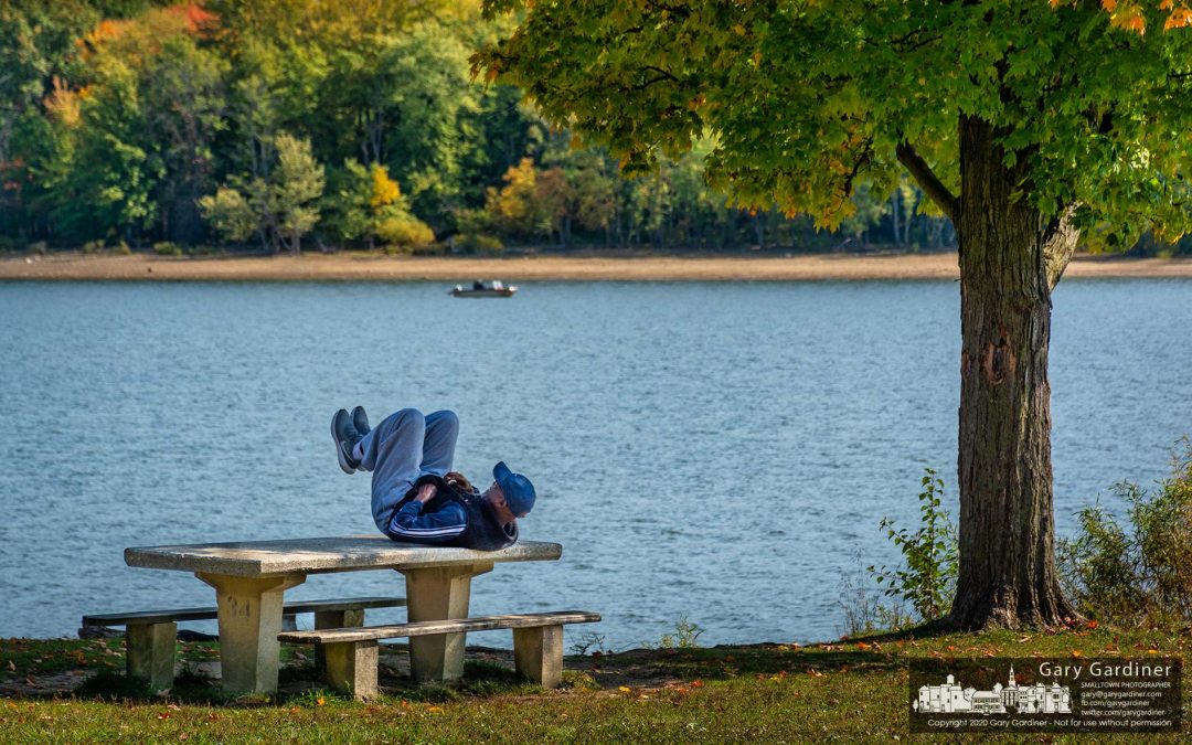 Picnic Table Workout