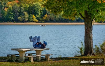Picnic Table Workout