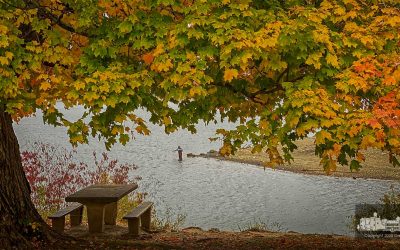 Fall Fishing