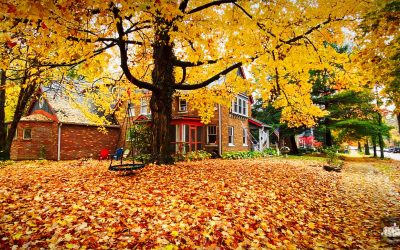 West College Fall Colors