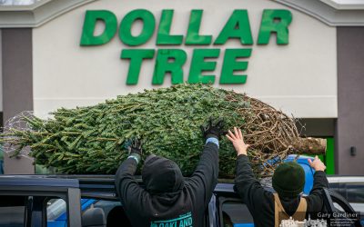 The $80 Dollar Tree