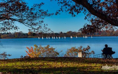 Afternoon Sailing In Fall