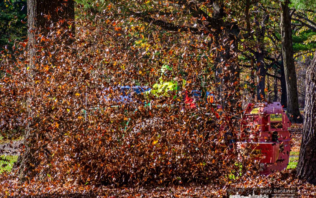Clearing Sharon Woods
