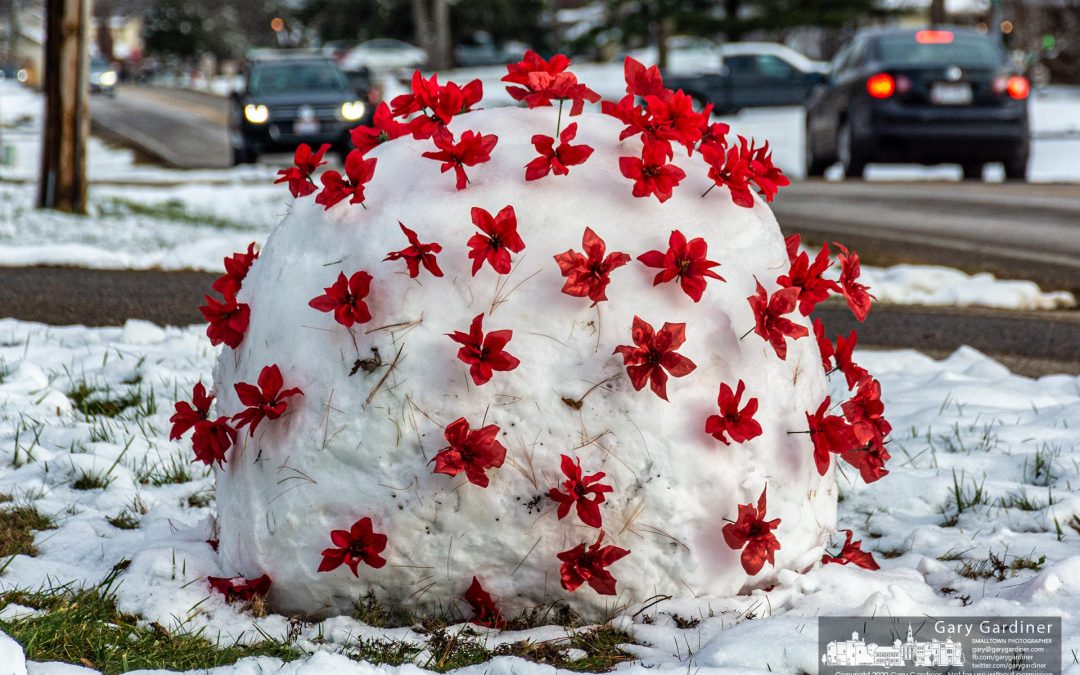 Coronavirus Snowball