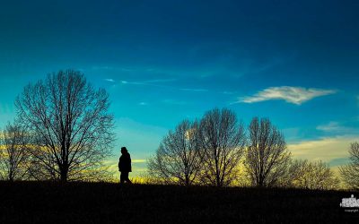 Quiet Walk At Sunset