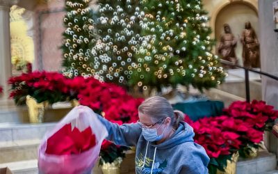 St. Paul Christmas Decorations