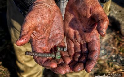 Farmer’s Hands