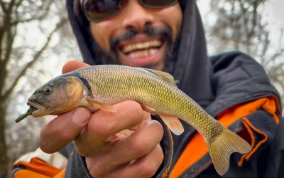 Creek Chub Fishing