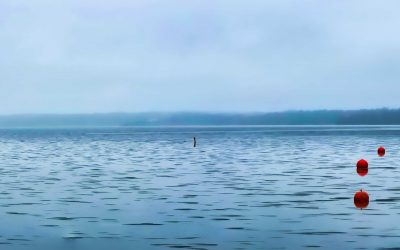 Still Waters and Orange Markers