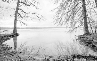 Hoover Winter Shoreline
