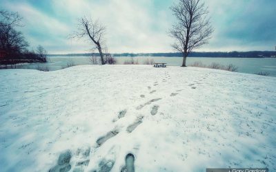 Footprints In The Snow
