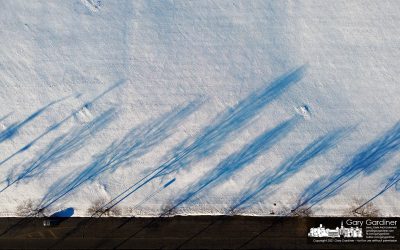 Snow Shadows