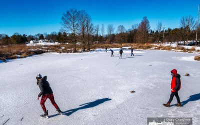 Wetlands Play
