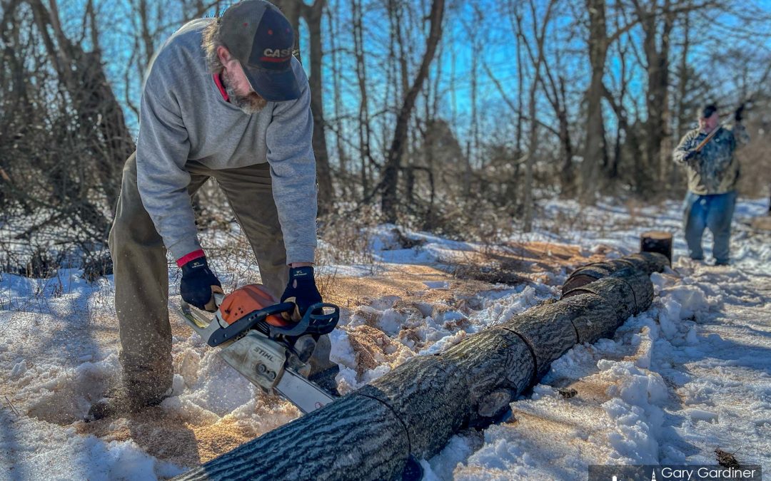 Winter Firewood