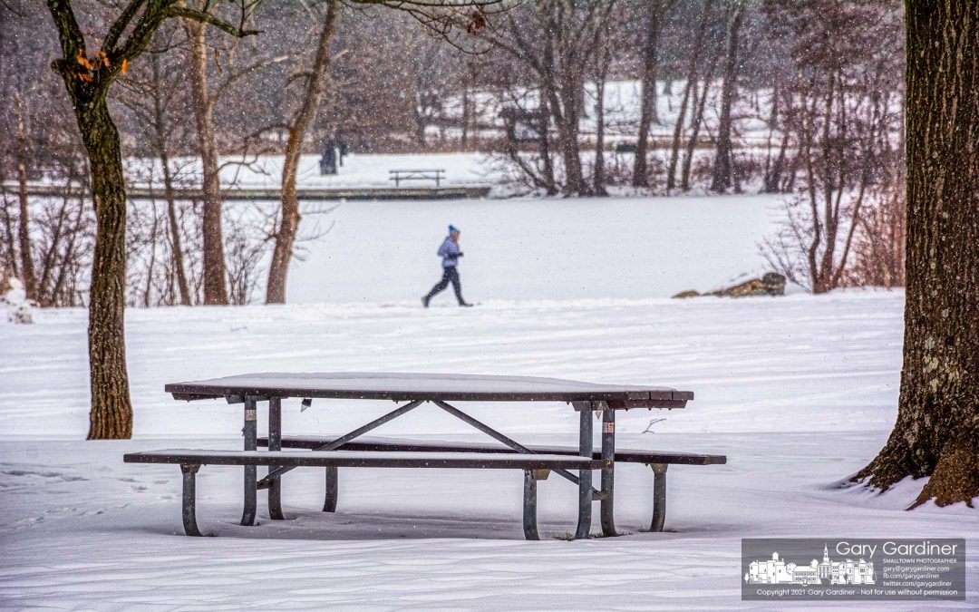 No Picnics Today