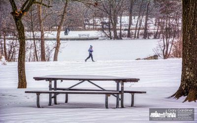 No Picnics Today