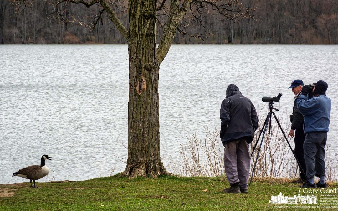 Watching The Watchers
