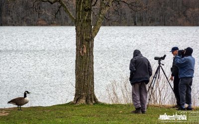 Watching The Watchers