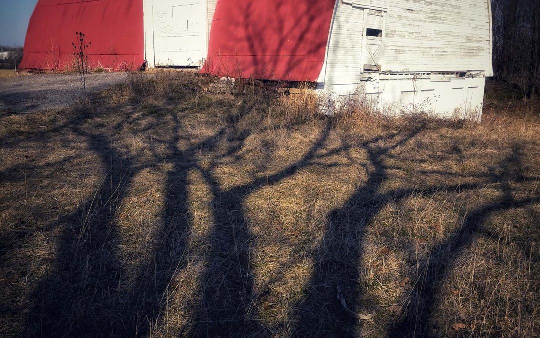 Late Winter Shadows