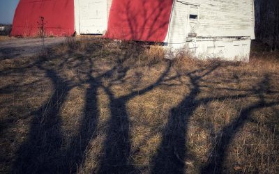 Late Winter Shadows