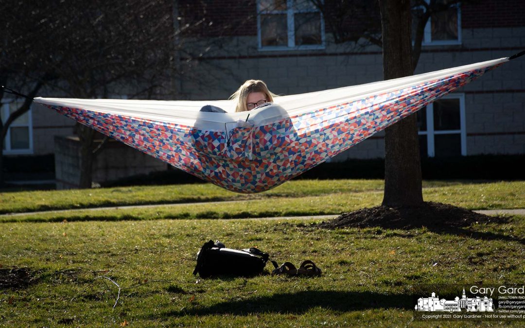 Warm Hammock Reading