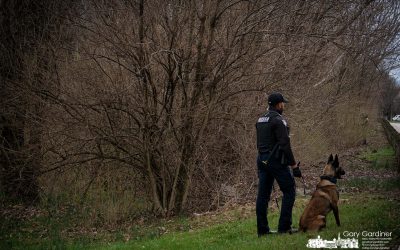 Missing Man Search