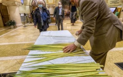 Palm Sunday Sorting