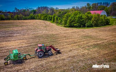 Soybean Planting