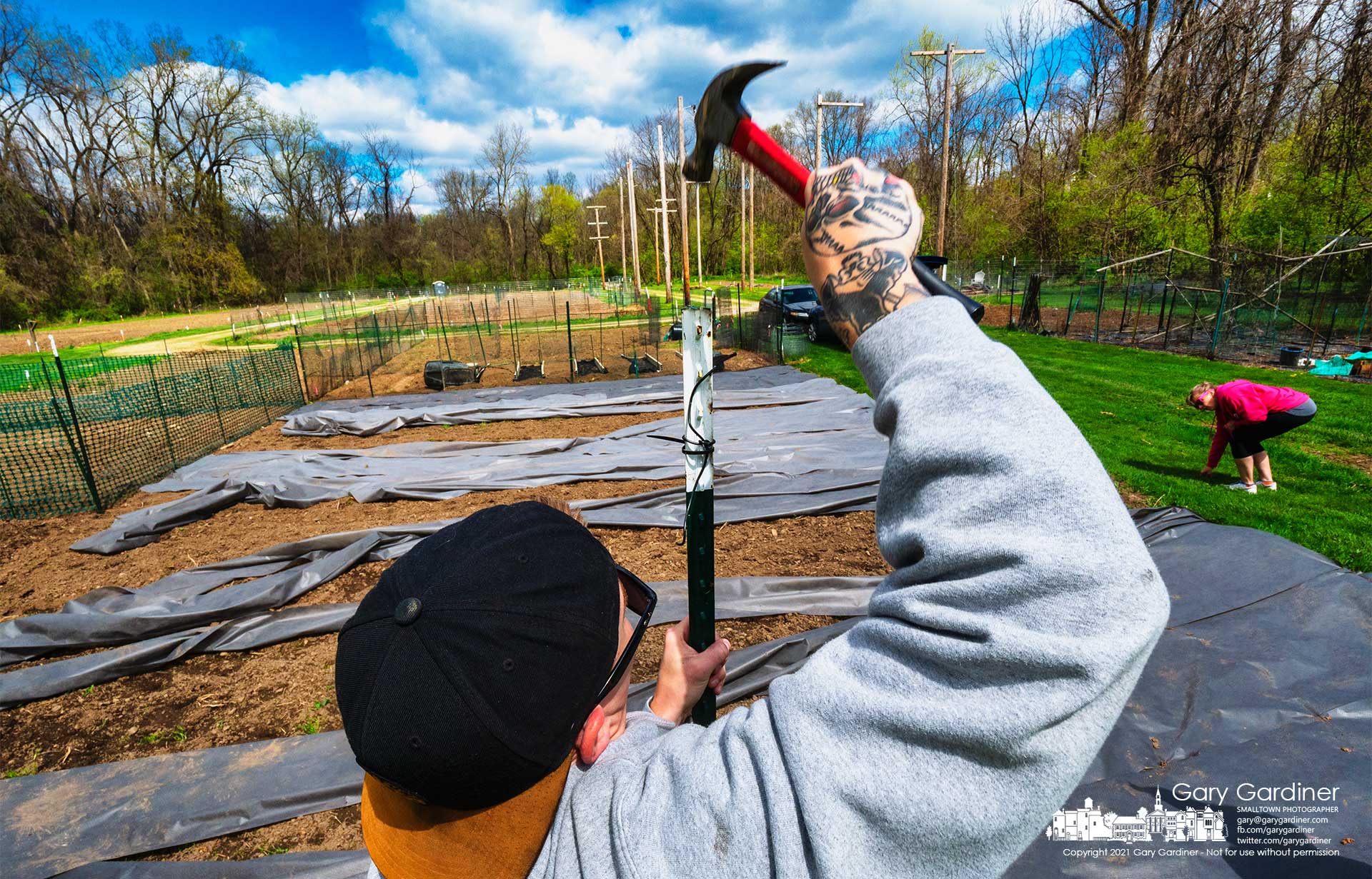A man hammers a fence post into the perimeter of his family's section of the Westerville Community Garden. My Final Photo for April 15, 2021. 