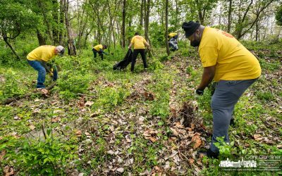 Heritage Park Invasives Removed