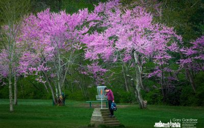 Earth Day Round Of Golf