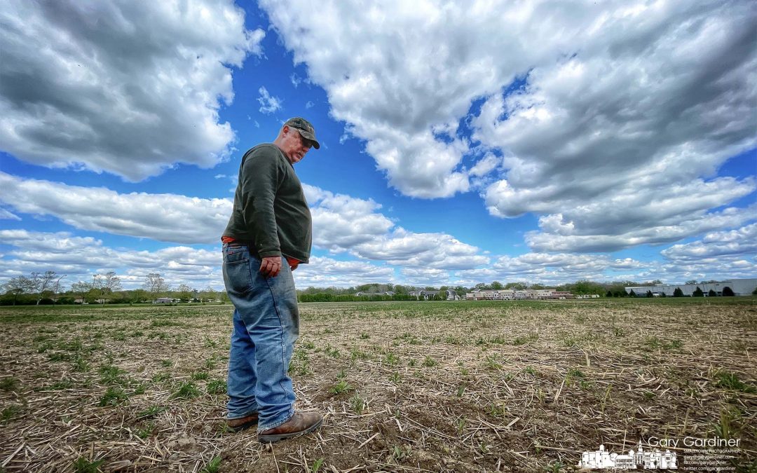 Checking Weeds And Seeds