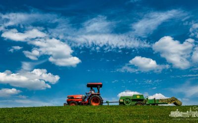 Harvest On The Hill