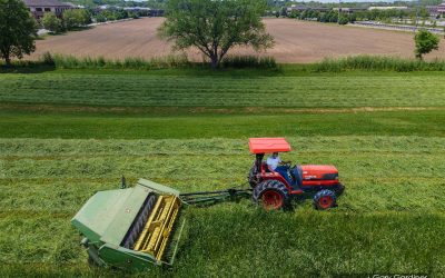 First Hay Cut Of 2021