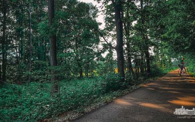 Bike Trail Break