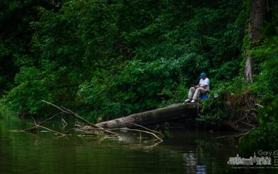 Rainy Day Fishing