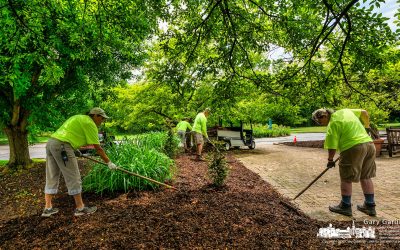 Inniswood Mulching