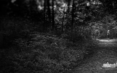 A Walk In The Park