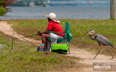 Fishing Companion