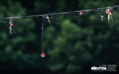 Lost Lures Of Hoover