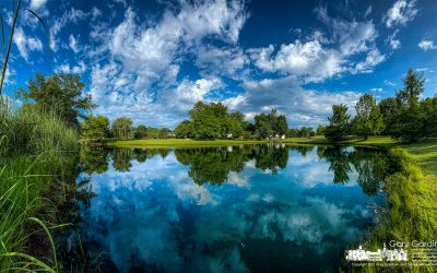 Hot Summer Clouds