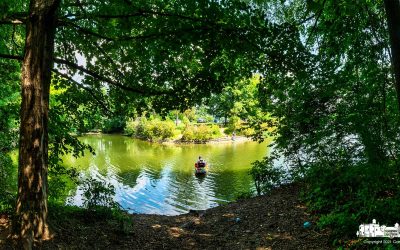 Fishing The Shallows