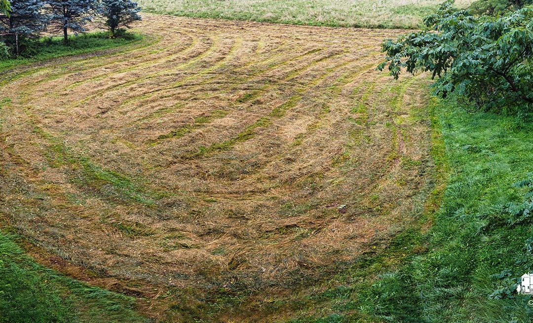 Wet Hay Waiting
