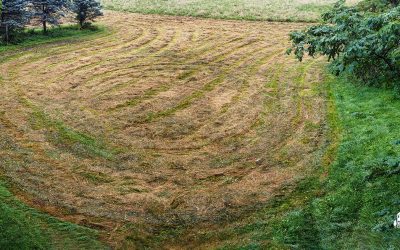 Wet Hay Waiting